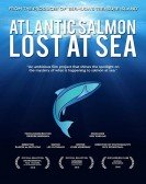 Atlantic Salmon: Lost at Sea poster