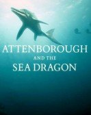 poster_attenborough-and-the-sea-dragon_tt7764186.jpg Free Download