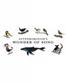 Attenborough's Wonder of Song Free Download