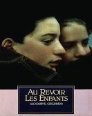 poster_au-revoir-les-enfants_tt0092593.jpg Free Download