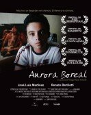 Aurora Boreal Free Download