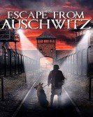 The Escape from Auschwitz Free Download