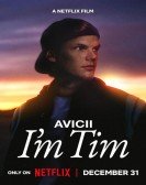 Avicii - I'm Tim Free Download