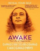 Awake: The Life of Yogananda Free Download