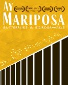 Ay Mariposa poster