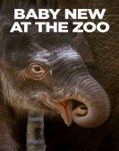 poster_baby-new-at-the-zoo_tt26754001.jpg Free Download