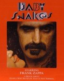 Baby Snakes Free Download