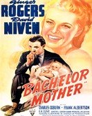 Bachelor Mother Free Download