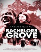 Bachelors Grove poster