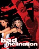 Bad Inclination poster