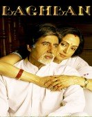 poster_baghban_tt0337578.jpg Free Download