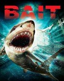 Bait (2012) Free Download