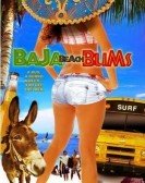 Baja Beach Bums poster