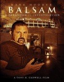 Balsam: A Paranormal Investigation Free Download
