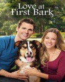 Love at First Bark (2017) Free Download