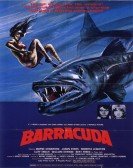 Barracuda poster