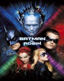 Batman & Robin Free Download