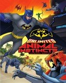 Batman Unlim Free Download