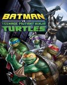 Batman vs. Teenage Mutant Ninja Turtles (2019) Free Download