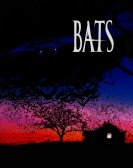 Bats & Jokes poster