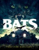 Bats Free Download