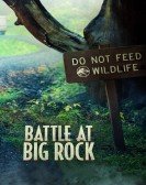 Battle at Big Rock Free Download