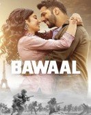 Bawaal Free Download