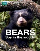 poster_bears-spy-in-the-woods_tt0436101.jpg Free Download