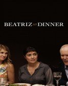 Beatriz at Dinner (2017) poster