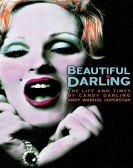 poster_beautiful-darling_tt0960730.jpg Free Download