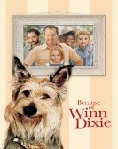 poster_because-of-winn-dixie_tt0317132.jpg Free Download