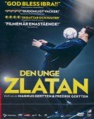 Becoming Zlatan Free Download