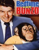 poster_bedtime-for-bonzo_tt0043325.jpg Free Download