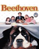 Beethoven Free Download