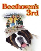 Beethoven's 3rd Free Download