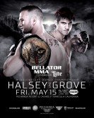 Bellator 137: Halsey vs. Grove poster