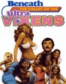 poster_beneath-the-valley-of-the-ultra-vixens_tt0078846.jpg Free Download