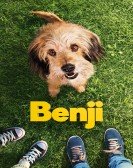 Benji ( 2018 ) poster