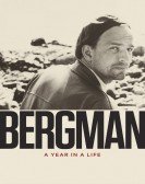 Bergman: A Year in a Life Free Download