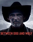 Between Dog and Wolf poster