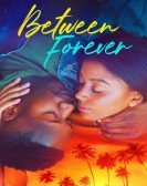 poster_between-forever_tt10521244.jpg Free Download