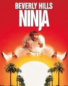 Beverly Hills Ninja Free Download