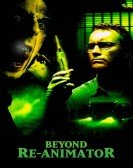 poster_beyond-re-animator_tt0222812.jpg Free Download