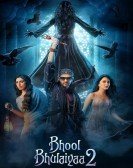 Bhool Bhulaiyaa 2 Free Download