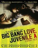 poster_big-bang-love-juvenile-a_tt0497876.jpg Free Download