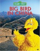 Big Bird in China Free Download