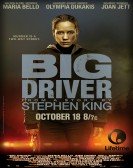 Big Driver Free Download