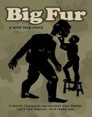 Big Fur poster