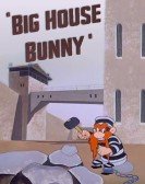 Big House Bu Free Download