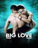 poster_big-love_tt2226301.jpg Free Download